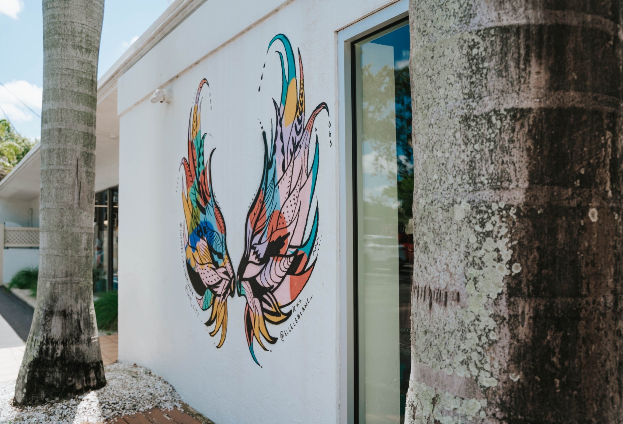 Swim City Downtown Sarasota Wing Mural