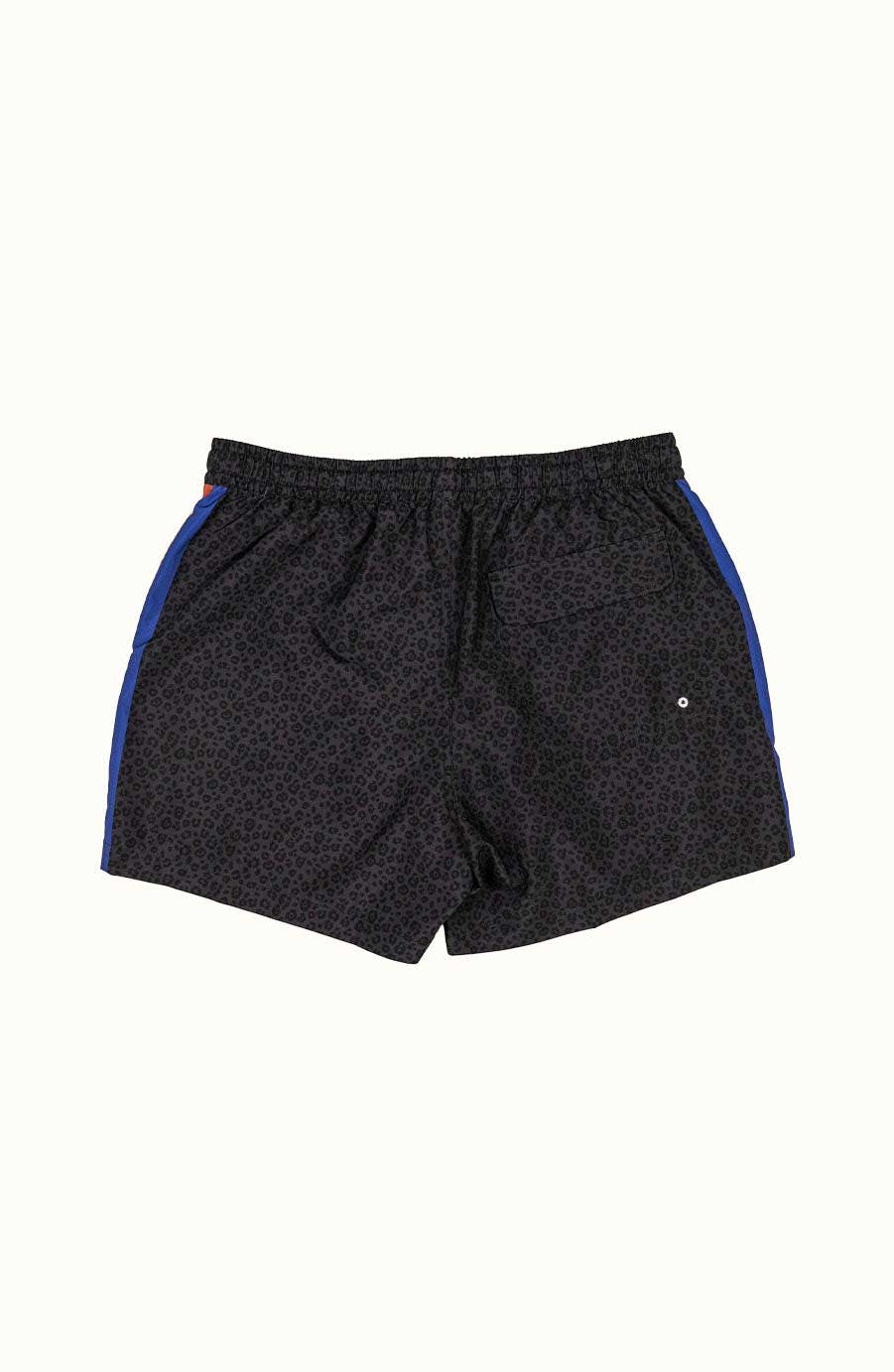 Duvin: Black Cat Swim 14.6" Short