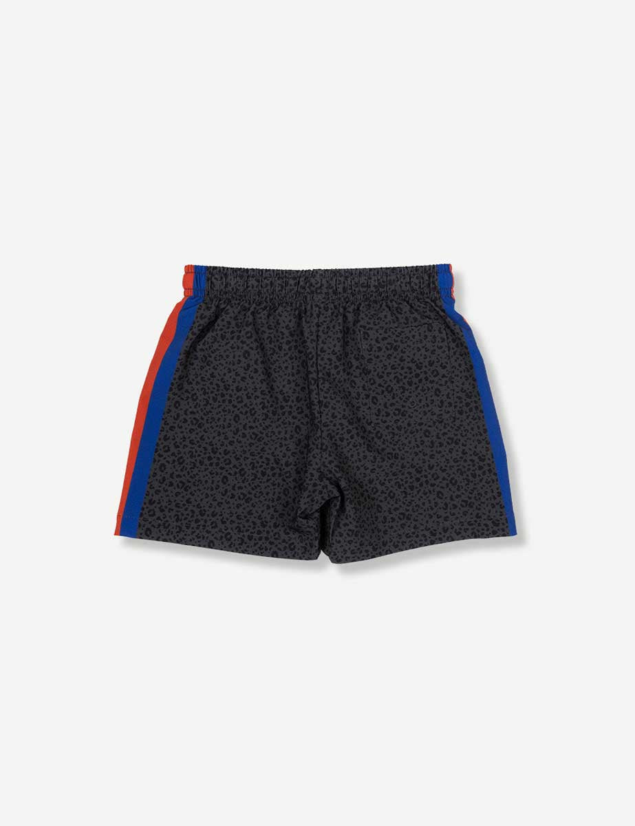 Duvin: Boys Black Cat Swim Short