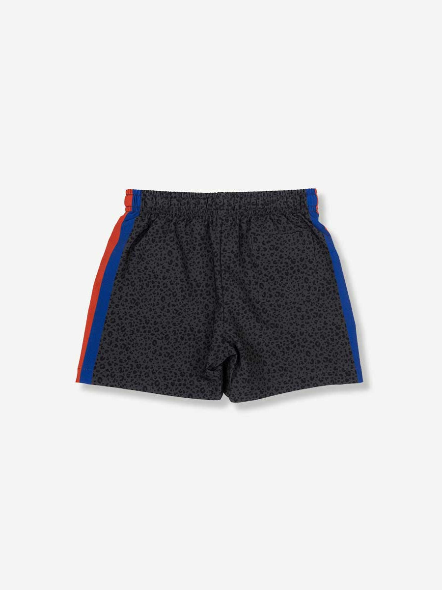 Duvin: Boys Black Cat Swim Short