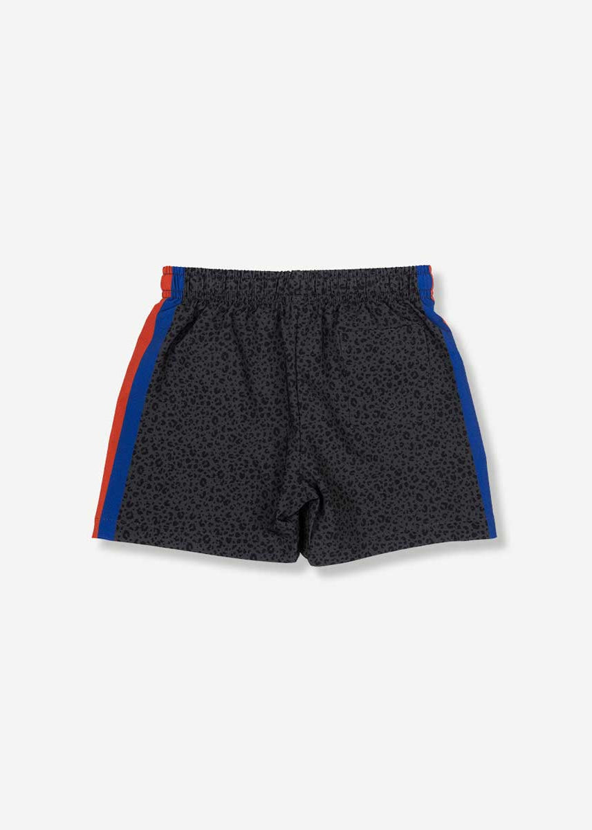 Duvin: Boys Black Cat Swim Short