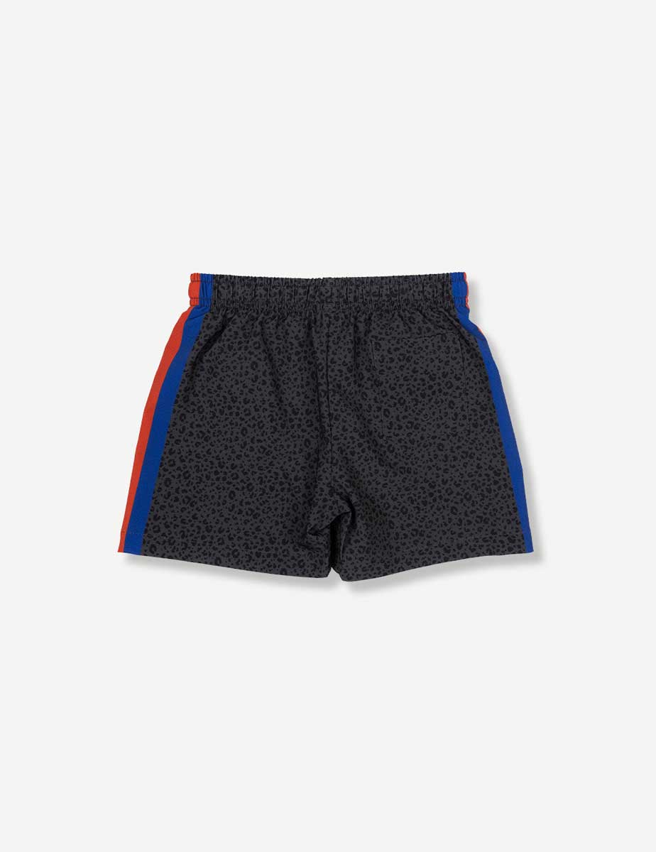 Duvin: Boys Black Cat Swim Short