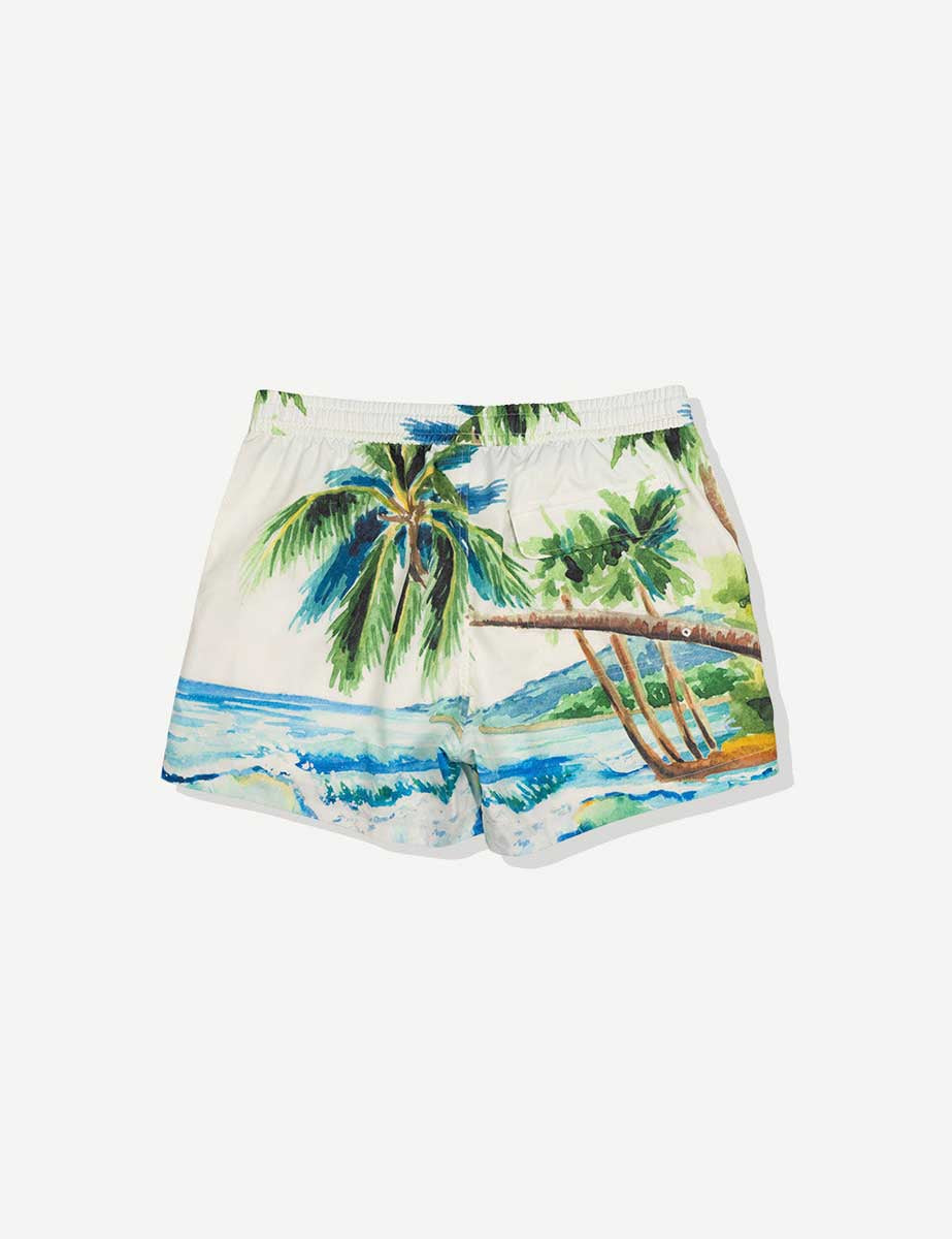 Duvin: Postcard Swim Short