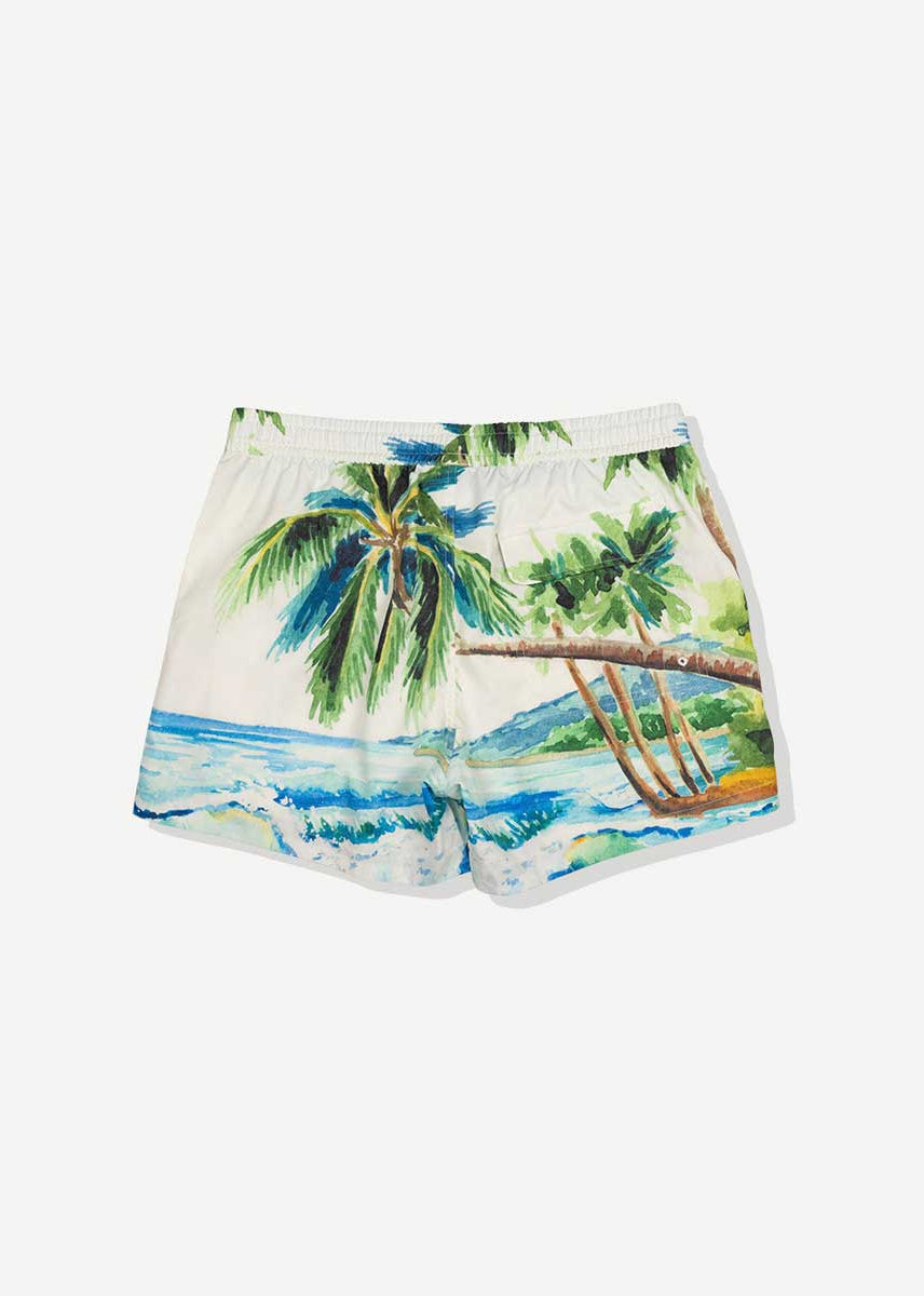 Duvin: Postcard Swim Short