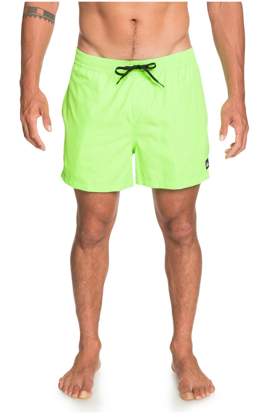 Quiksilver: Everyday 15" Volley - GGY0