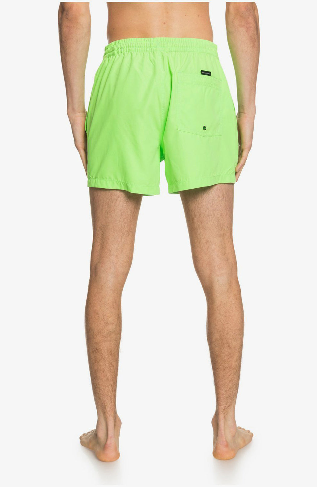 Quiksilver: Everyday 15" Volley - GGY0