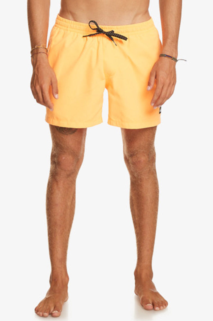 Quiksilver: Everyday 15" Volley - NLQ0