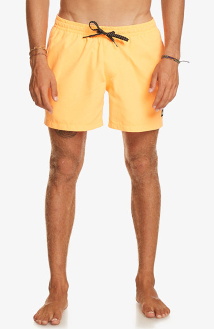 Quiksilver: Everyday 15" Volley - NLQ0