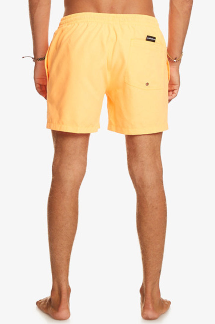 Quiksilver: Everyday 15" Volley - NLQ0