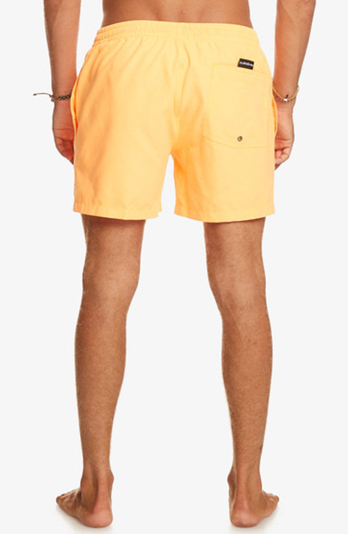 Quiksilver: Everyday 15" Volley - NLQ0