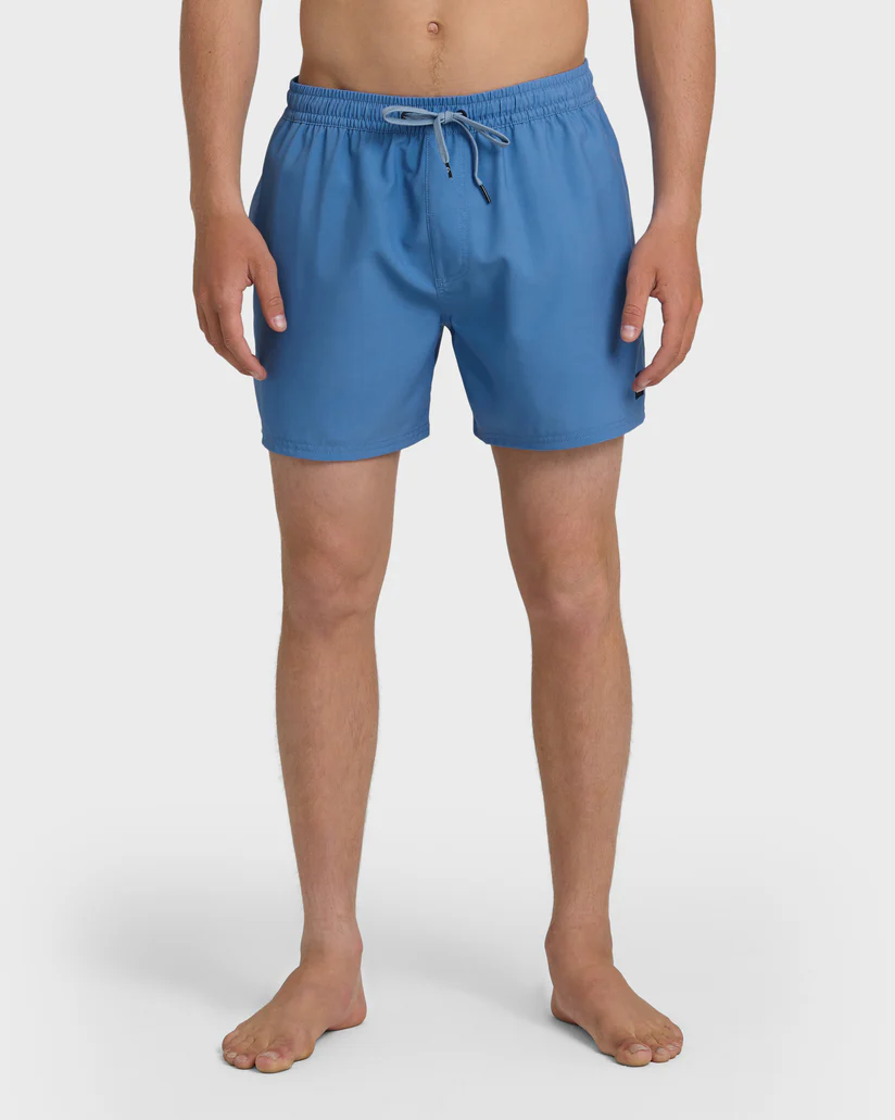 Quiksilver: Everyday Solid 15" Swim Trunks