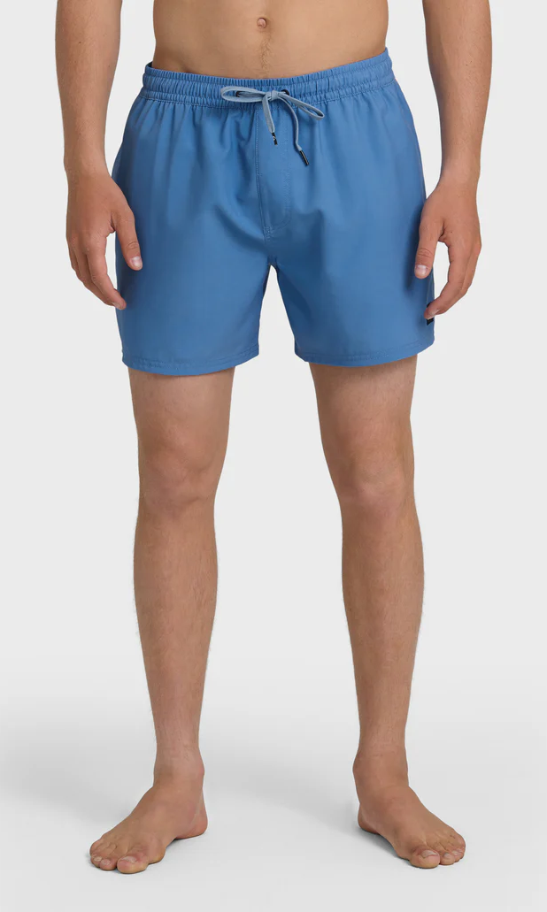 Quiksilver: Everyday Solid 15" Swim Trunks