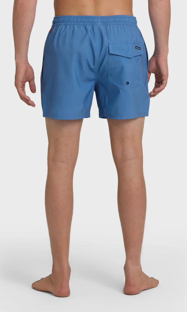 Quiksilver: Everyday Solid 15" Swim Trunks