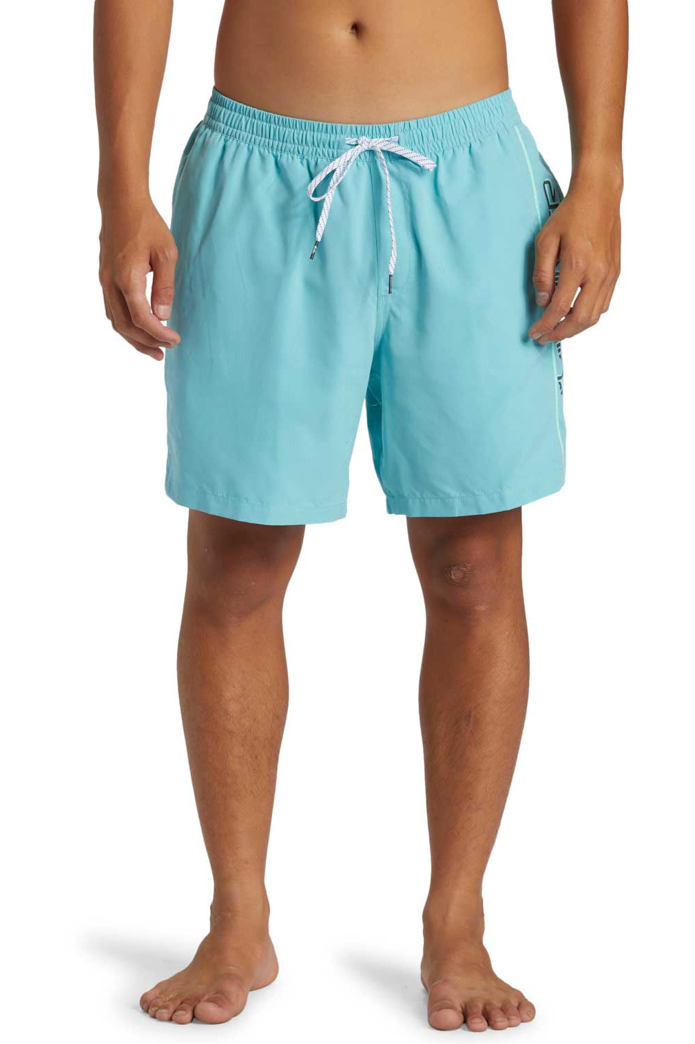 Quiksilver: Everyday Vert 17" Volley 2 Shorts