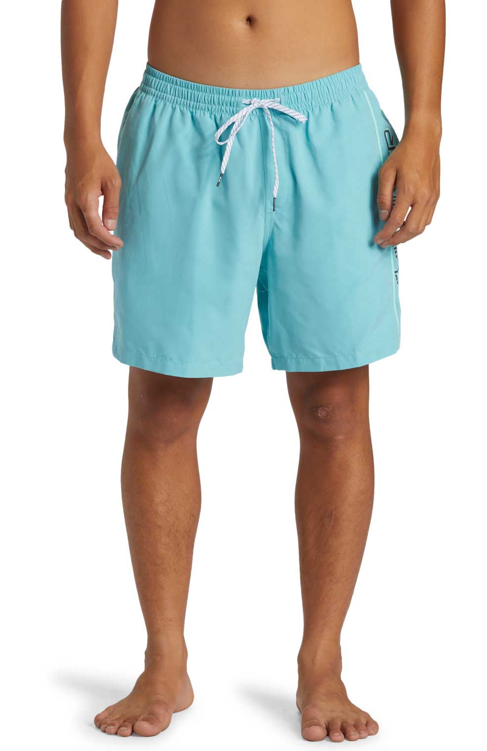 Quiksilver: Everyday Vert 17" Volley 2 Shorts