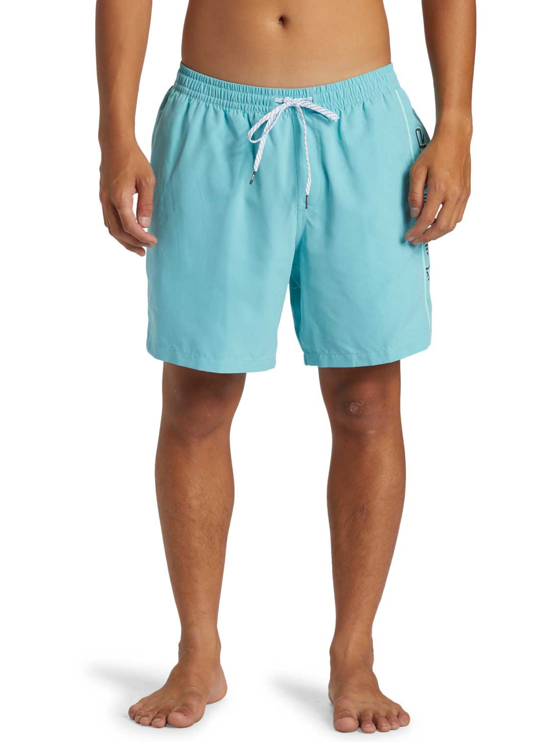 Quiksilver: Everyday Vert 17" Volley 2 Shorts