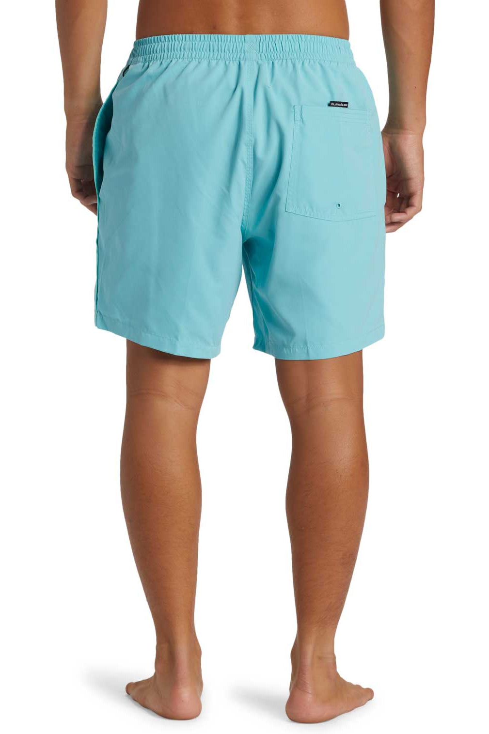 Quiksilver: Everyday Vert 17" Volley 2 Shorts