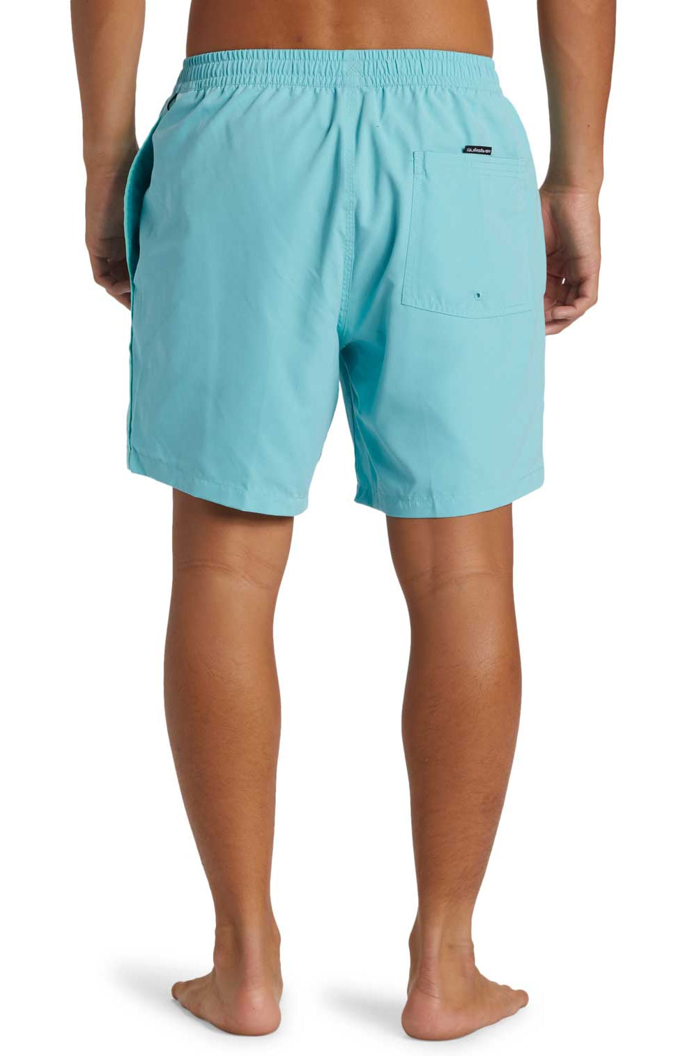 Quiksilver: Everyday Vert 17" Volley 2 Shorts