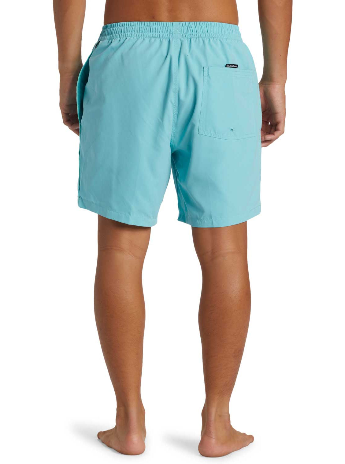 Quiksilver: Everyday Vert 17" Volley 2 Shorts