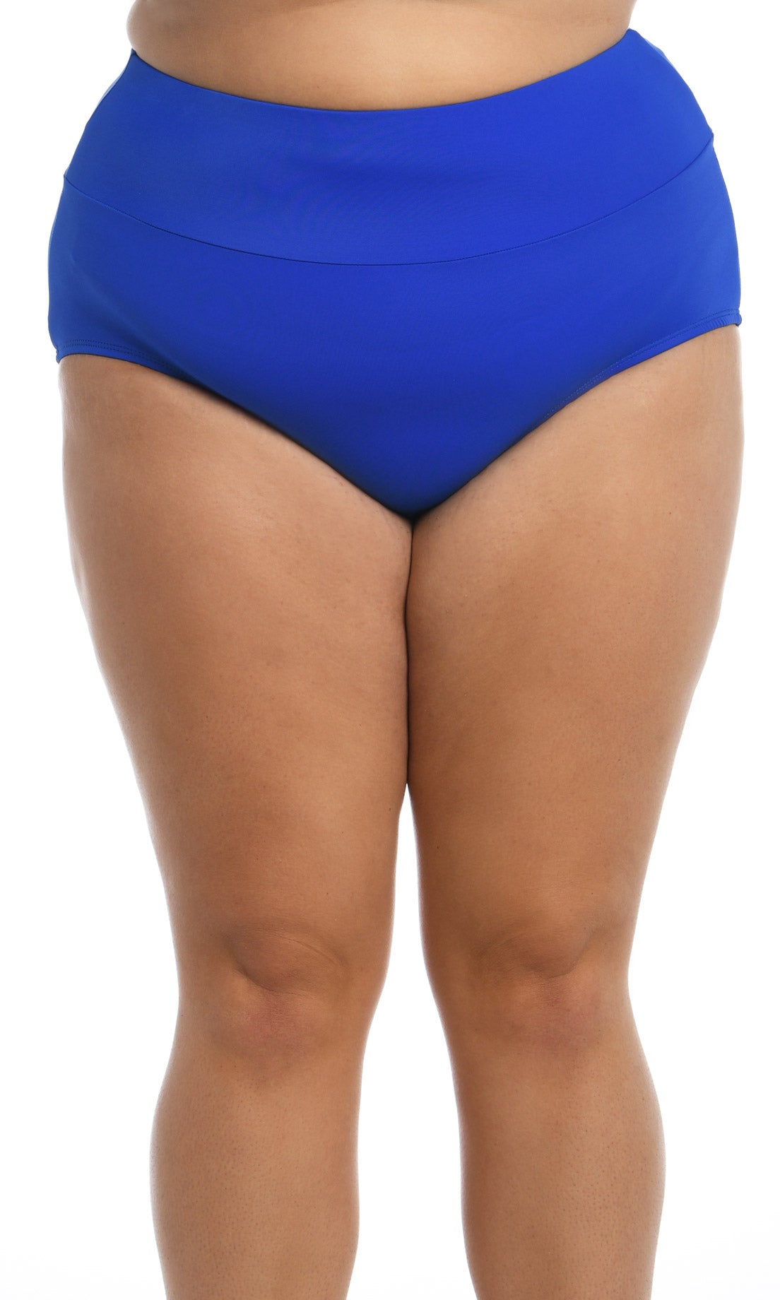 Maxine Plus Solid Wide Band Full Brief - COBALT