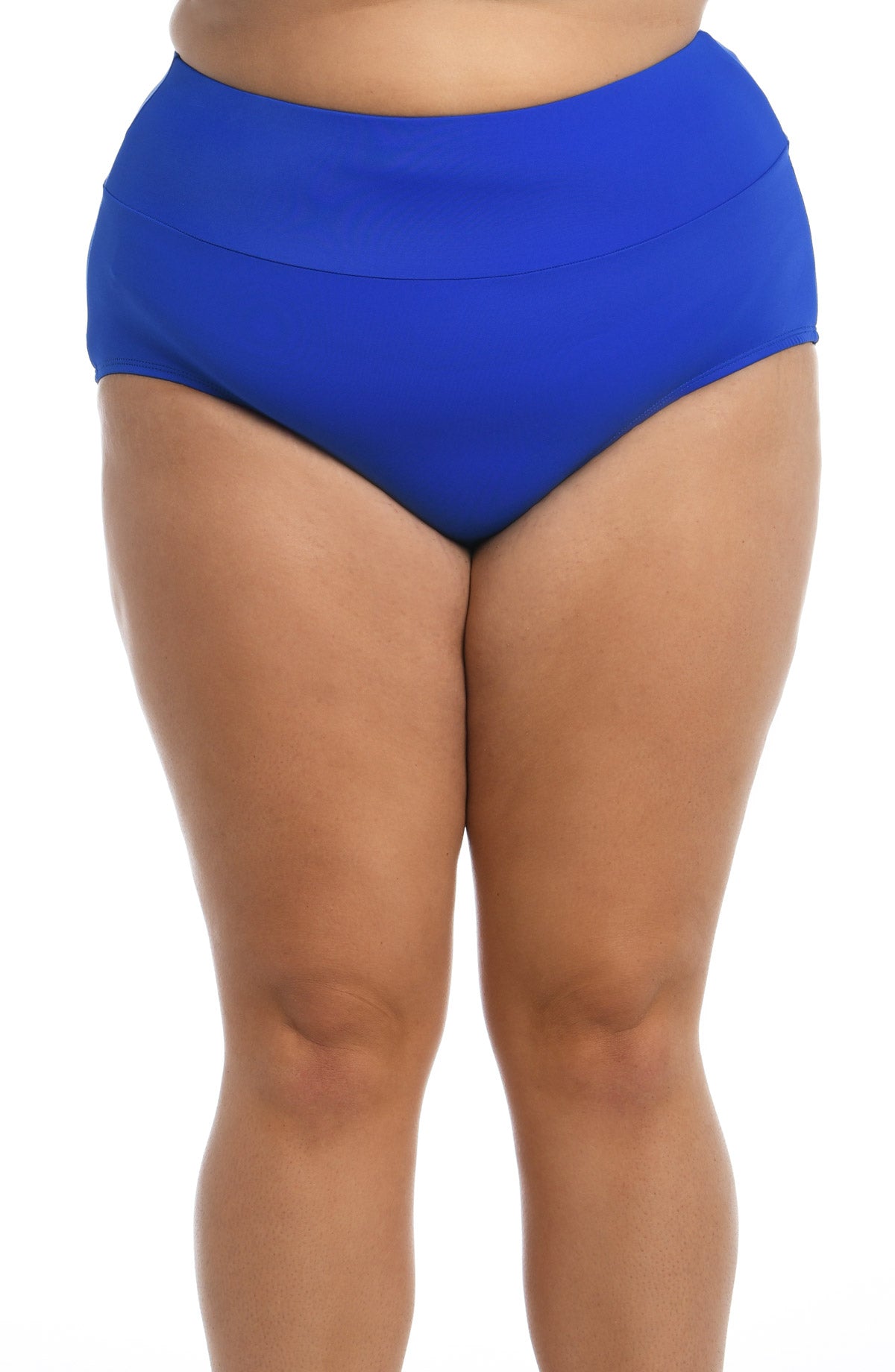 Maxine Plus Solid Wide Band Full Brief in Cobalt
