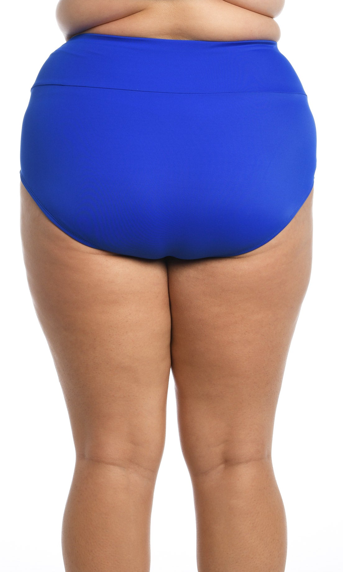 Maxine Plus Solid Wide Band Full Brief - COBALT