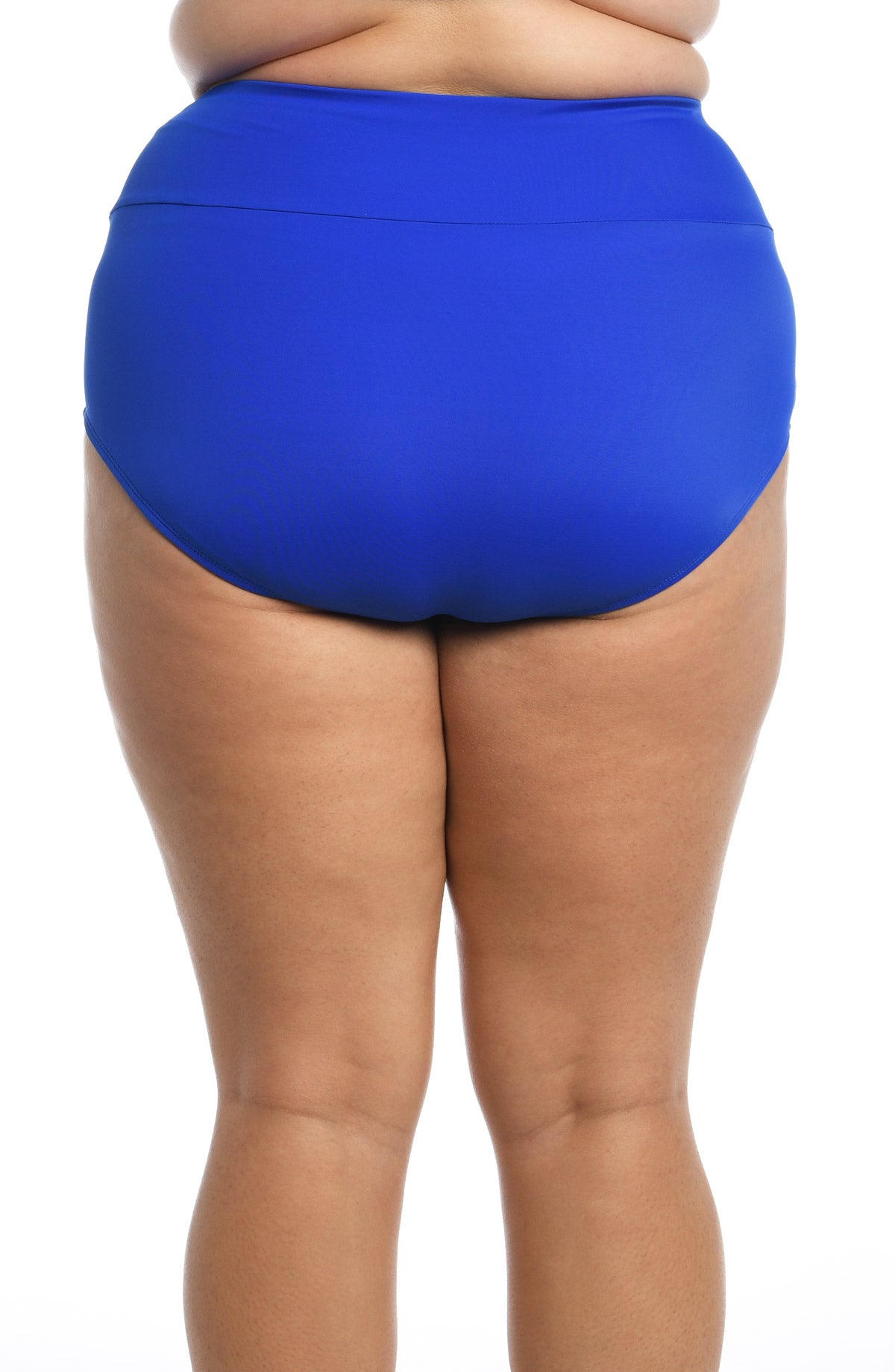 Maxine Plus Solid Wide Band Full Brief in Cobalt, alternate view