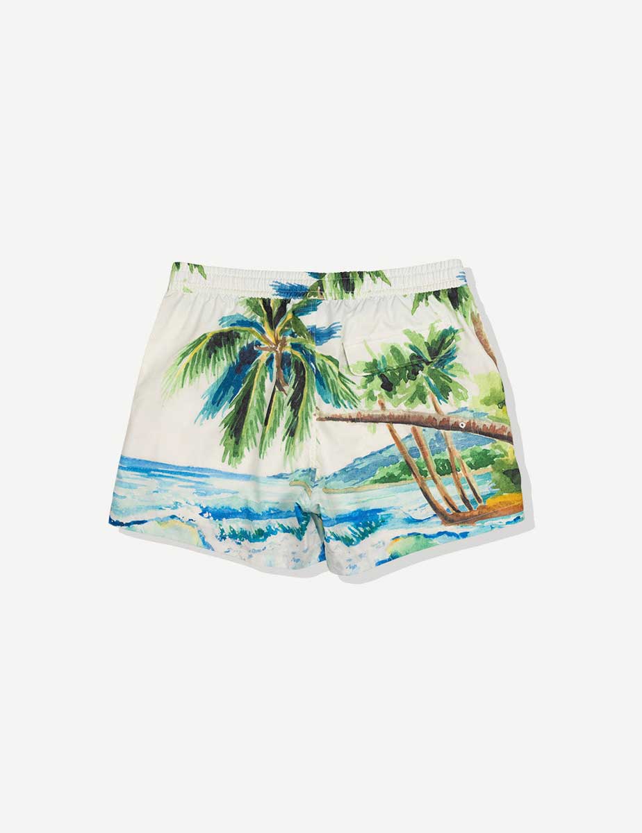 Duvin: Postcard Swim Short