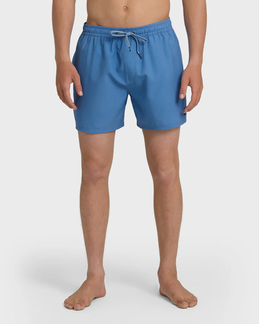 Quiksilver: Everyday Solid 15" Swim Trunks